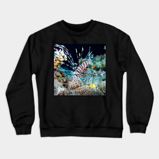 Lionfish on the Great Barrier Reef Crewneck Sweatshirt